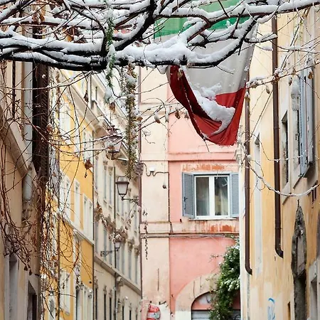 Casa Veniero Daire Roma